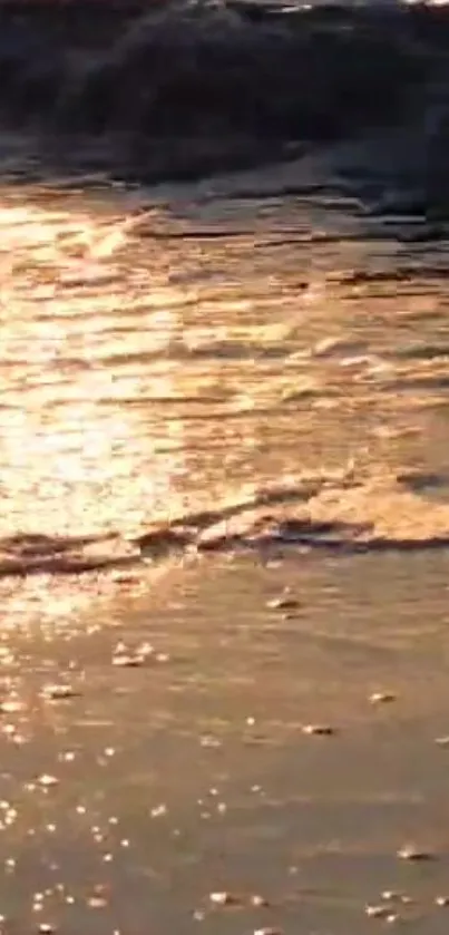 Golden sunset over a tranquil beach with shimmering waves.