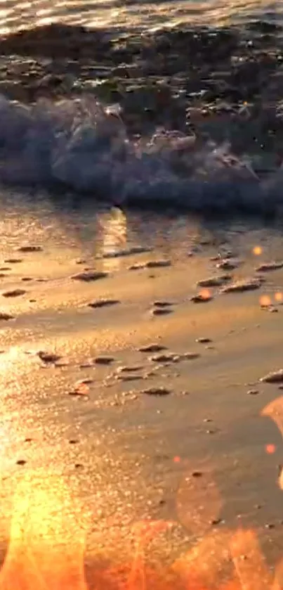 Golden sunset on a beach with sparkling waves and serene vibes.