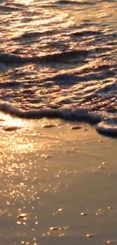 Golden sunset illuminating ocean waves on a serene beach shore.