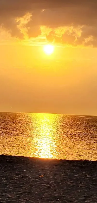 Golden beach sunset with shimmering ocean.