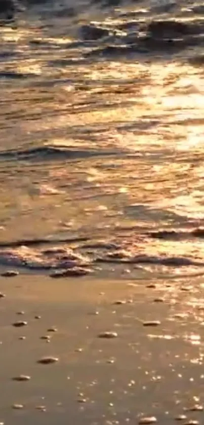 Golden sunlight reflecting on gentle ocean waves at sunset.