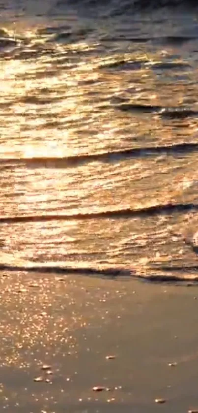 Golden sunset over ocean waves at the beach.