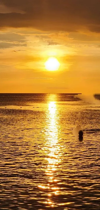 Golden sunset over tranquil ocean waves with horizon view.