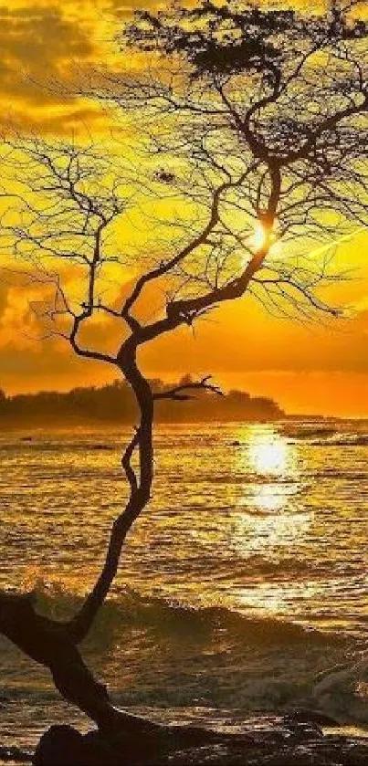 Golden sunset with tree silhouette on a tranquil beach scene.