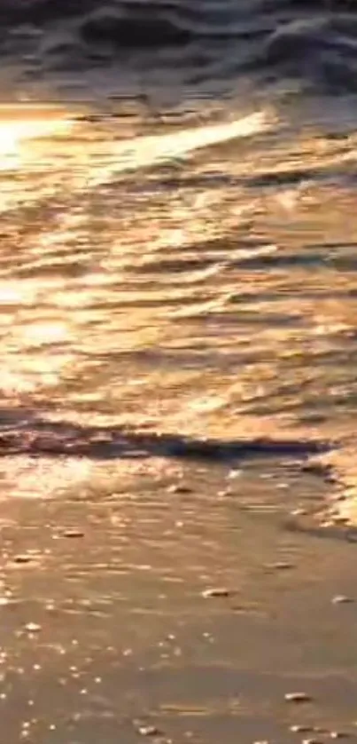 Golden sunset over a tranquil beach with gentle waves and shimmering reflections.