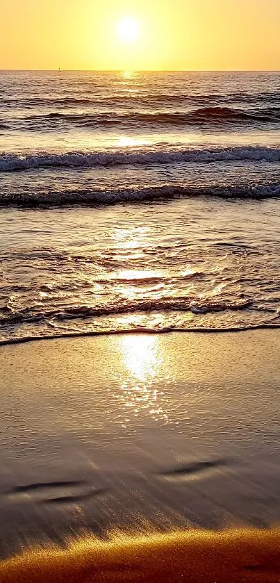 Golden sunset over a peaceful beach with gentle ocean waves.