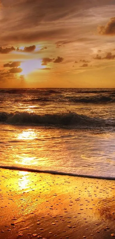 Golden sunset over a peaceful beach scene.