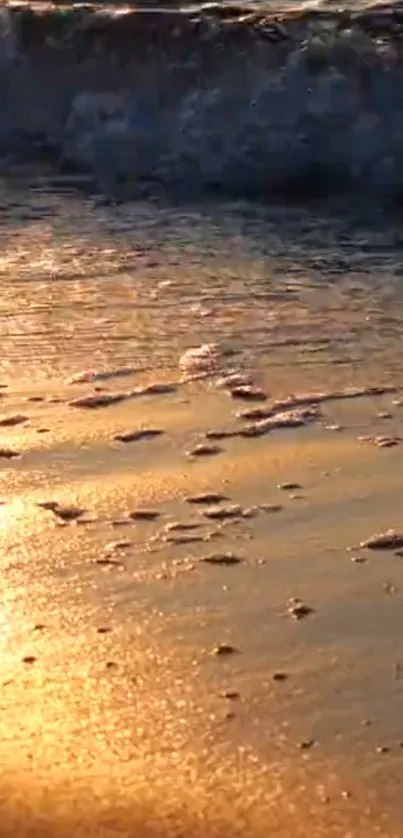 Beautiful golden sunset reflecting on a calm beach with gentle waves.