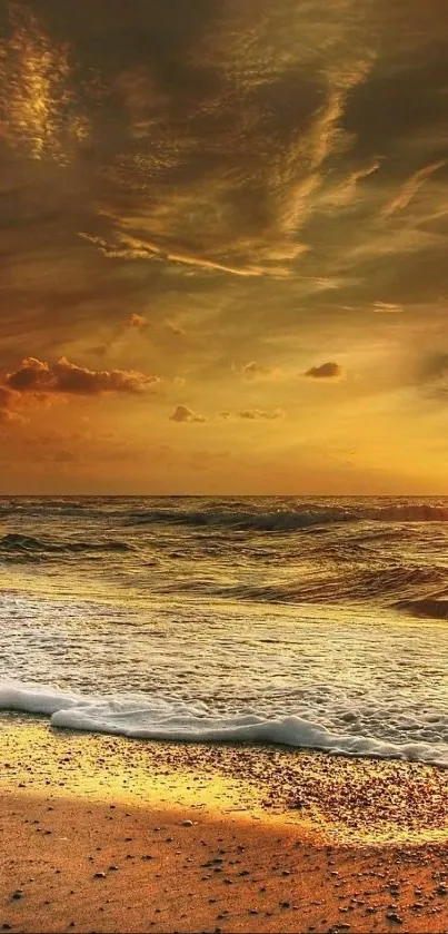 Golden sunset ocean view with beach waves.