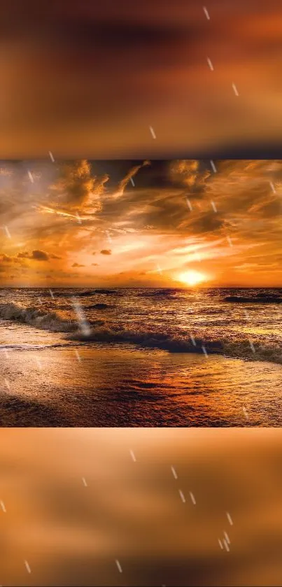 Golden sunset beach wallpaper with vibrant orange tones and tranquil ocean view.