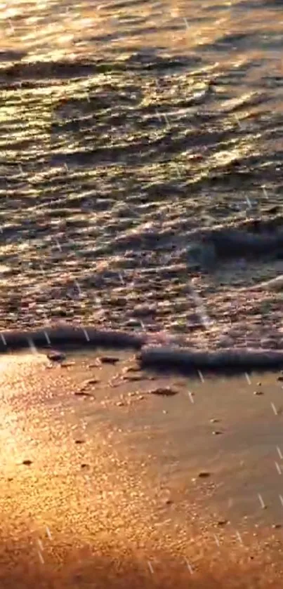 Golden sunset beach wallpaper with gentle waves on a sandy shore.