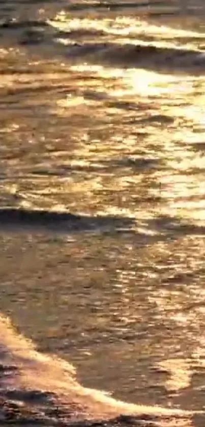 Golden beach waves at sunset creating a serene and peaceful ambiance.