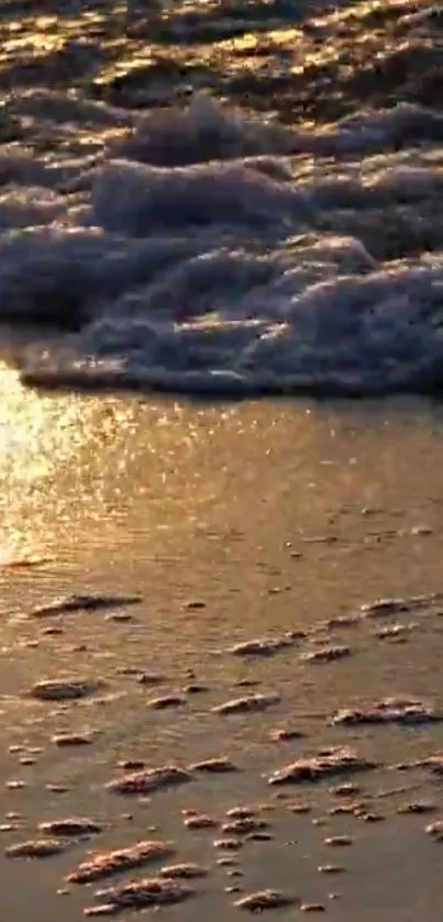 Peaceful sunset beach scene with waves and golden hues.