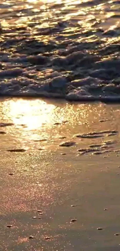 Golden sunset beach with gentle waves and ocean reflection.