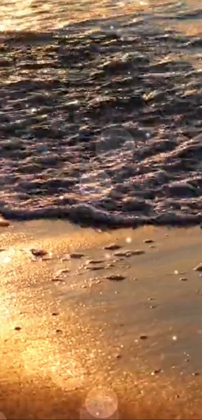 Golden beach waves at sunset with shimmering ocean.