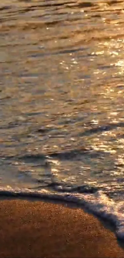 Golden sunset casting light on beach waves.