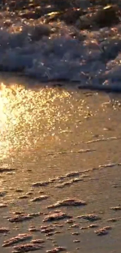 Golden sunset reflecting on beach waves during evening.