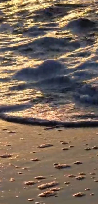 Golden sunset waves on a serene beach shore