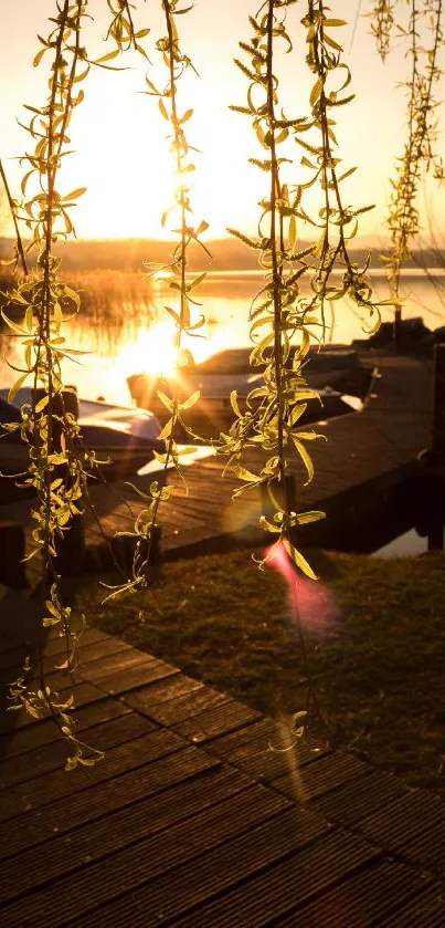 Golden sunset over a serene lake with hanging willow branches.