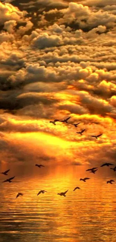 Golden sunset with clouds and birds over water.