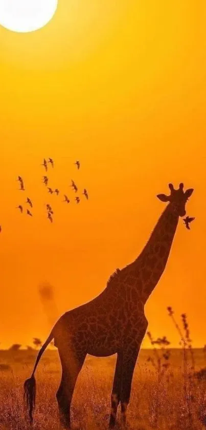 Giraffe in silhouette against a golden sunset with birds in flight.