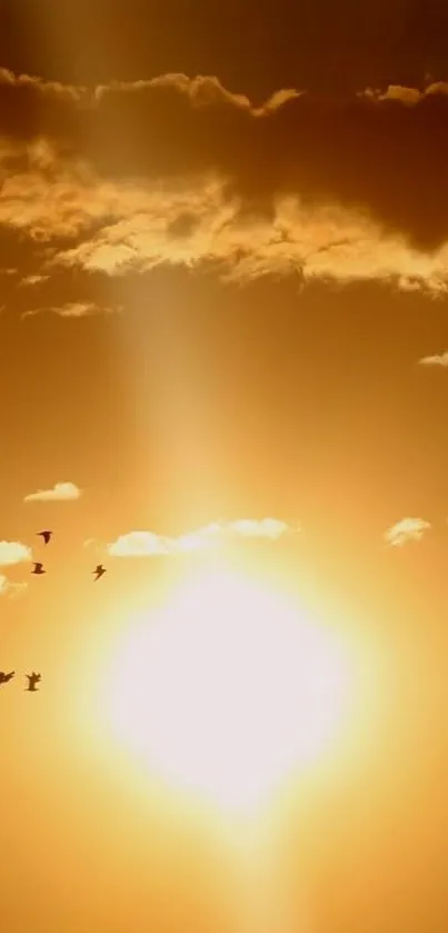 Golden sunset with birds flying across the horizon, creating a stunning landscape.