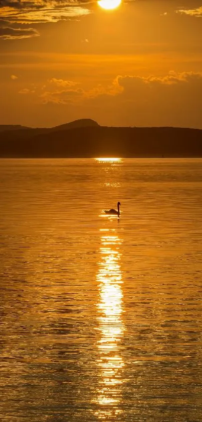 Golden sunset over a lake with a swan silhouetted on the water.