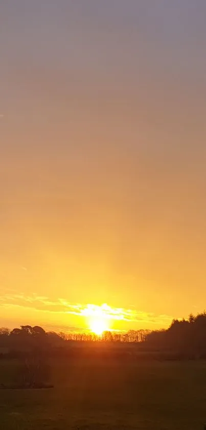 Golden sunset over lush green fields and distant hills.