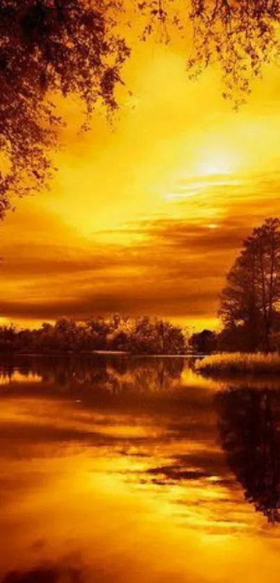 Golden sunset over a serene lake with tree silhouettes.