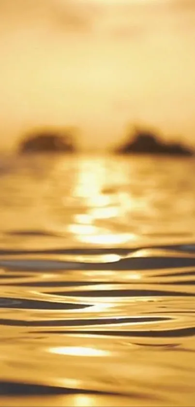 Golden sunset reflecting over a tranquil ocean surface.