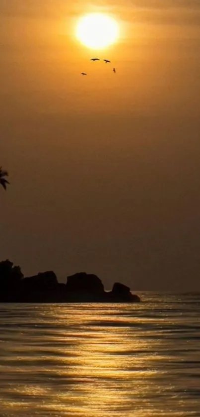 Golden sunset over ocean with palm silhouette.