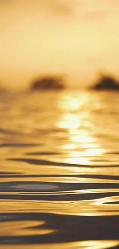 Golden sunset reflecting on tranquil ocean waves at dusk.