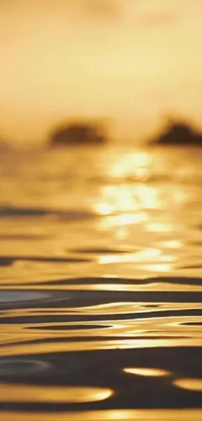 Golden sunset over a calm ocean with shimmering water.