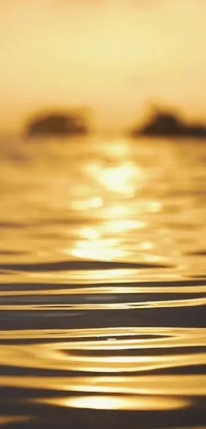 Golden sunset over ocean waves with warm, reflective water surface.