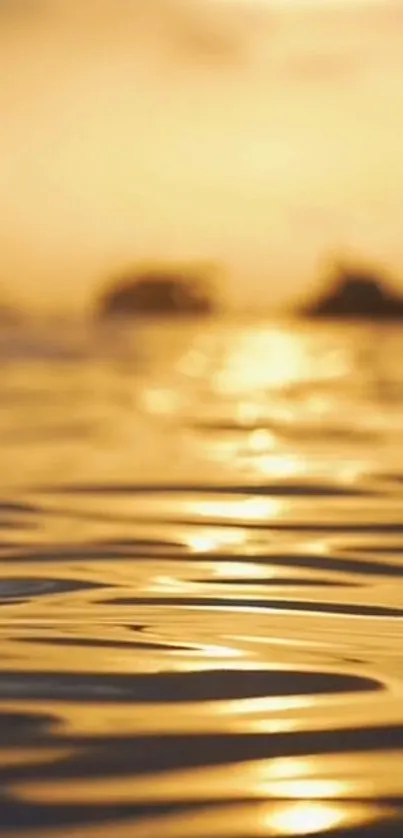 Golden sunset over tranquil ocean waters with serene reflections.