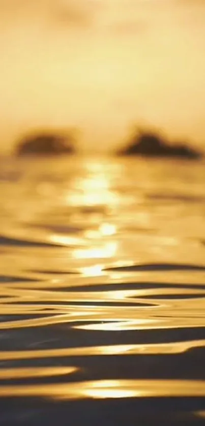 Golden sunset over ocean with peaceful waves.