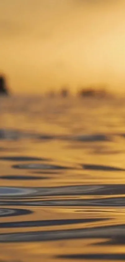 Golden sunset over ocean with rippling water, creating a serene and warm atmosphere.