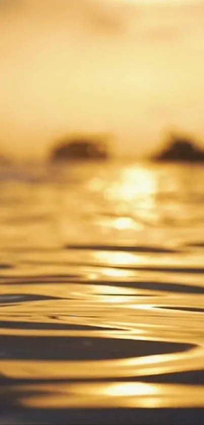 Golden sunset over ocean waves, reflecting light.