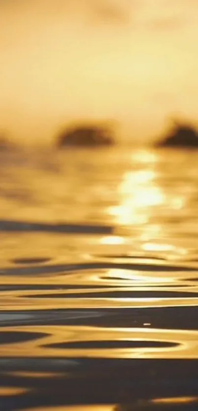 Golden sunset reflecting over calm ocean waves with a serene view.