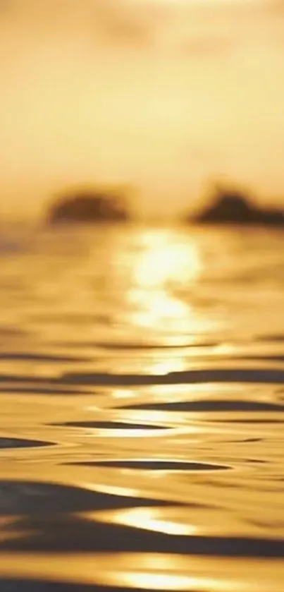 Golden sunset reflecting on tranquil ocean waves.