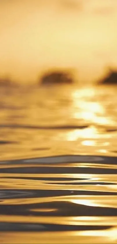 Golden sunset reflecting over calm ocean waters wallpaper.