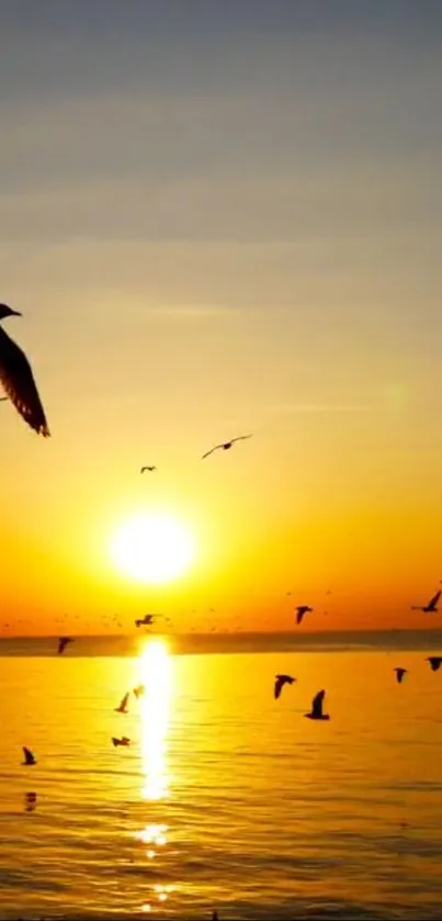 Golden sunset over ocean with birds silhouetted in flight.