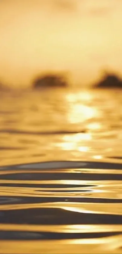 Golden sunset reflecting on calm ocean water.