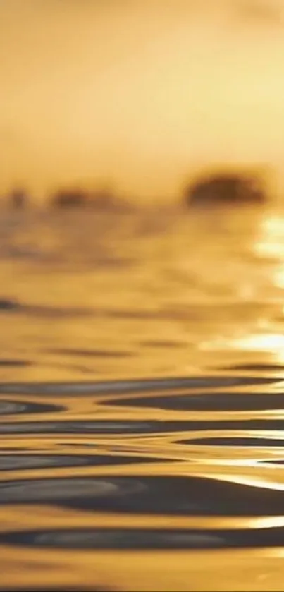 Golden sunset reflecting on tranquil ocean waters.