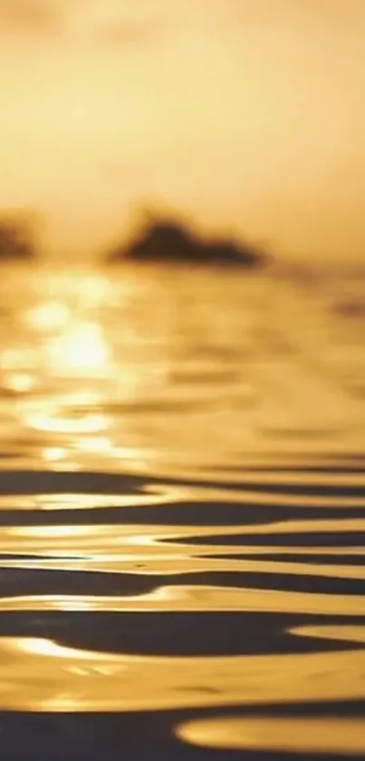 Golden sunset over a tranquil ocean with shimmering reflections.