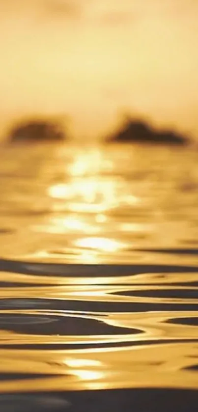 Golden sunset reflecting on calm ocean waves with a warm horizon.