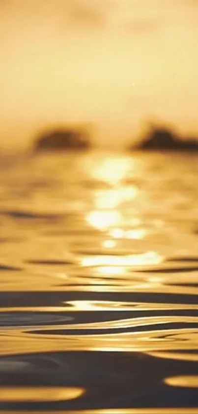 Golden sunset over a serene ocean with gentle rippling water.