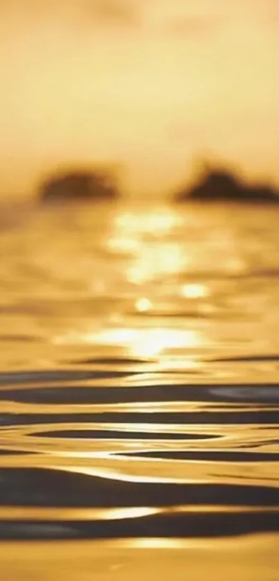 Golden sunset reflecting on calm ocean waves with a serene backdrop.