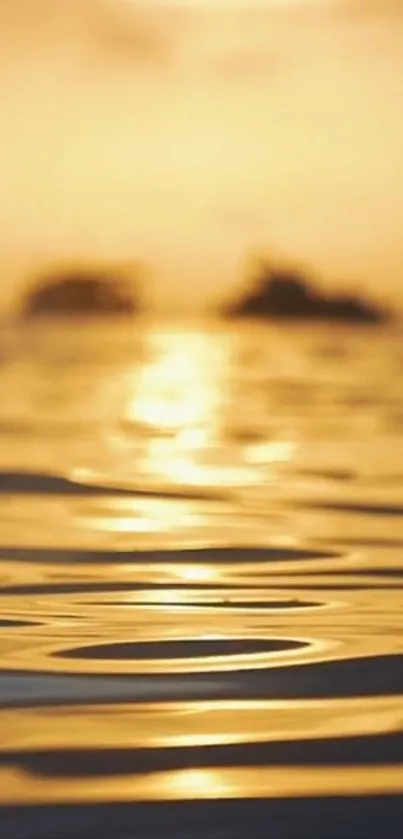 Golden sunset over a calm ocean with shimmering reflections.