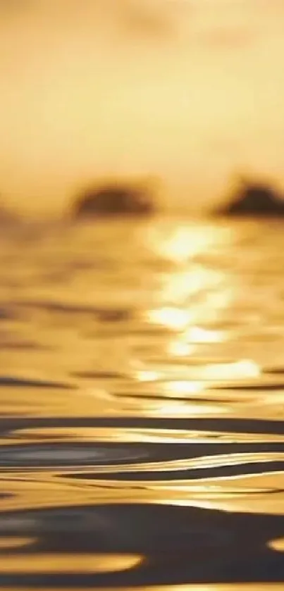 Golden sunset over ocean with serene reflections.